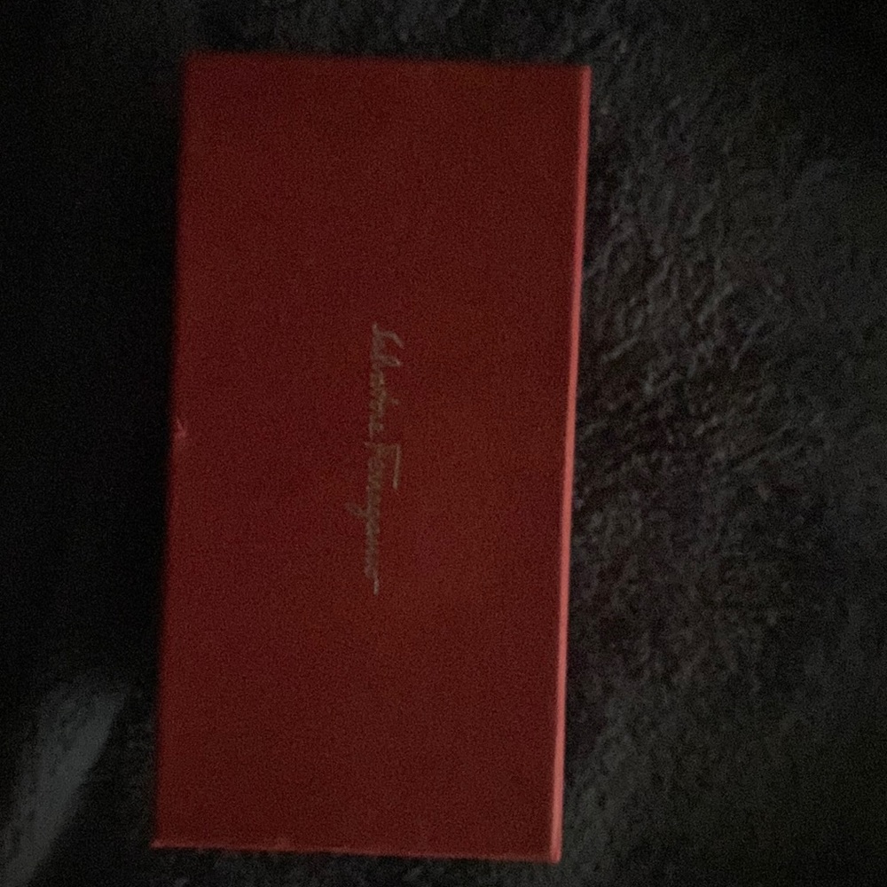 Authentic Ferragamo Sunglasses purchased 2019 from Saks
